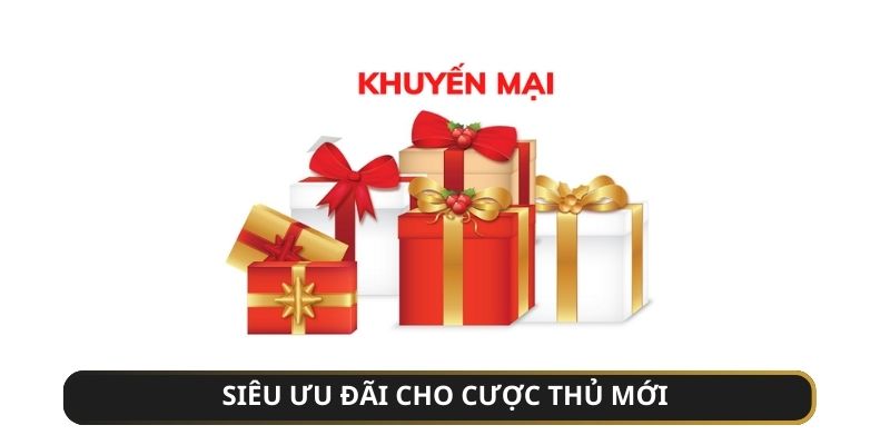 Sự kiện thường nhật cho cược thủ mới