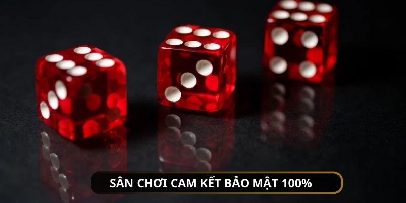 Nơi đây cam kết hàng loạt điều khoản về nghĩa vụ